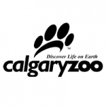 CalZoo