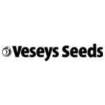 Vessy